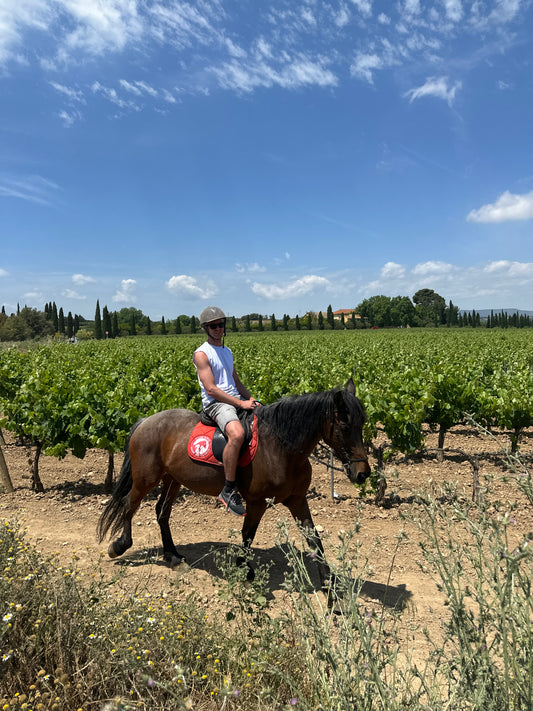 Horse Back Ride in the countryside - SOON